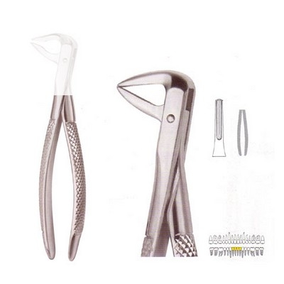 Extracting Forceps